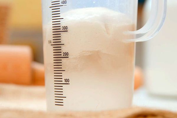 differenza tra lievito madre liquido e solido Il Lievito Madre: Un viaggio tra solido e liquido – Parte 3 main image 1